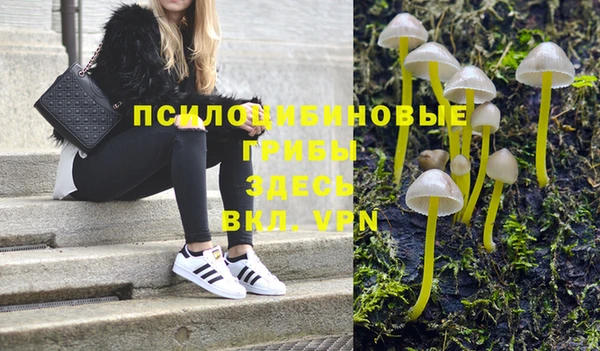 дурь Арсеньев