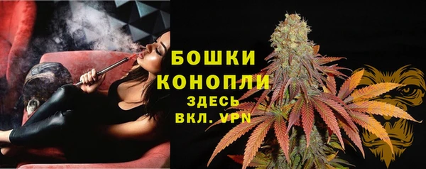 дурь Арсеньев