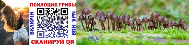 Галлюциногенные грибы Cubensis  Асбест 
