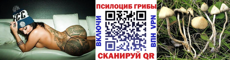 Галлюциногенные грибы ЛСД Асбест