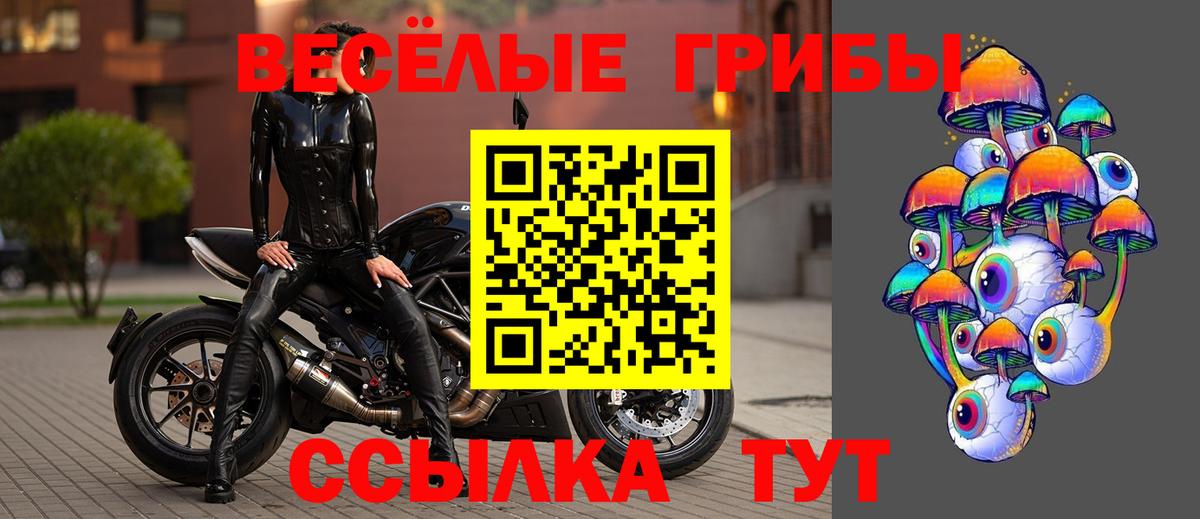 Асбест  Псилоцибиновые грибы Psilocybine cubensis  Вход с VPN  Галлюциногенные грибы Psilocybine cubensis 